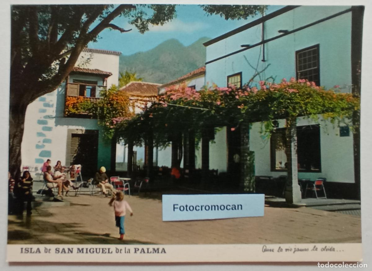 Postales: ISLA DE SAN MIGUEL DE LA PALMA. LOS LLANOS DE ARIDANE. ED. RO-FOTO. N&ordm;114