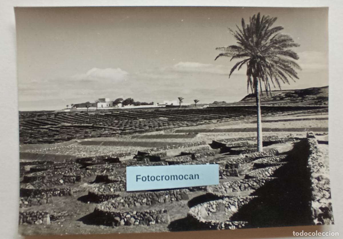 Postales: LANZAROTE. LA GERIA. FOTOGRAF&Iacute;AS DE BARCEL&Oacute; SERIE II. N&ordm; 564