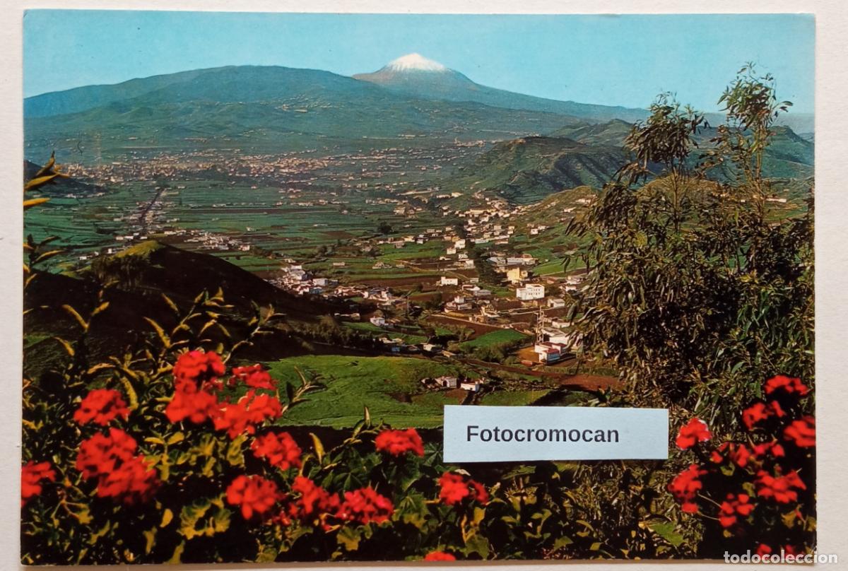 Postales: TENERIFE. LAS MERCEDES Y VEGA LAGUNERA. ED. GASTEIZ. N&ordm; 2548