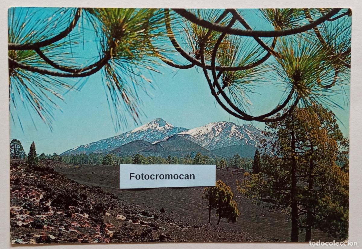 Postales: TENERIFE. NIEVE SOBRE EL TEIDE. DISTRIBUIDOR. EUROAFRICANA DE CANARIAS. TE28