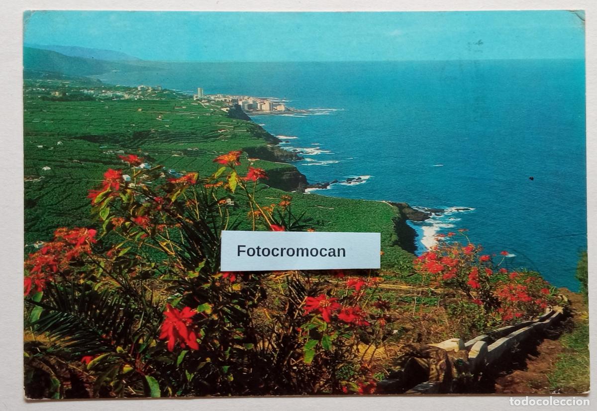 Postales: TENERIFE. LITORAL Y PUERTO DE LA CRUZ. &Oacute;SCAR COLOR. BERGAS. N&ordm;71. AL DORSO PUBLICIDAD