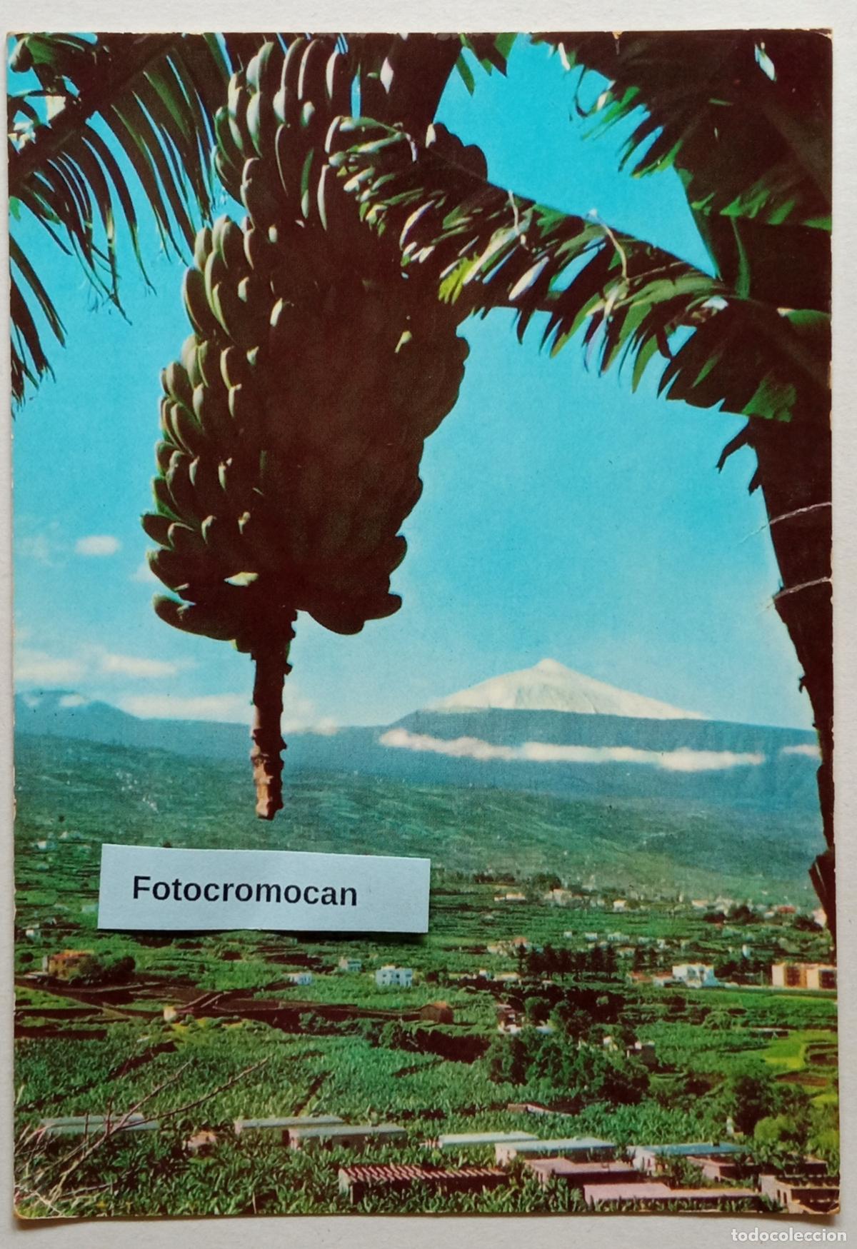 Postales: TENERIFE. MOTIVO T&Iacute;PICO. DISTRIBUIDORA EDITORIAL CANARIA. N&ordm;280