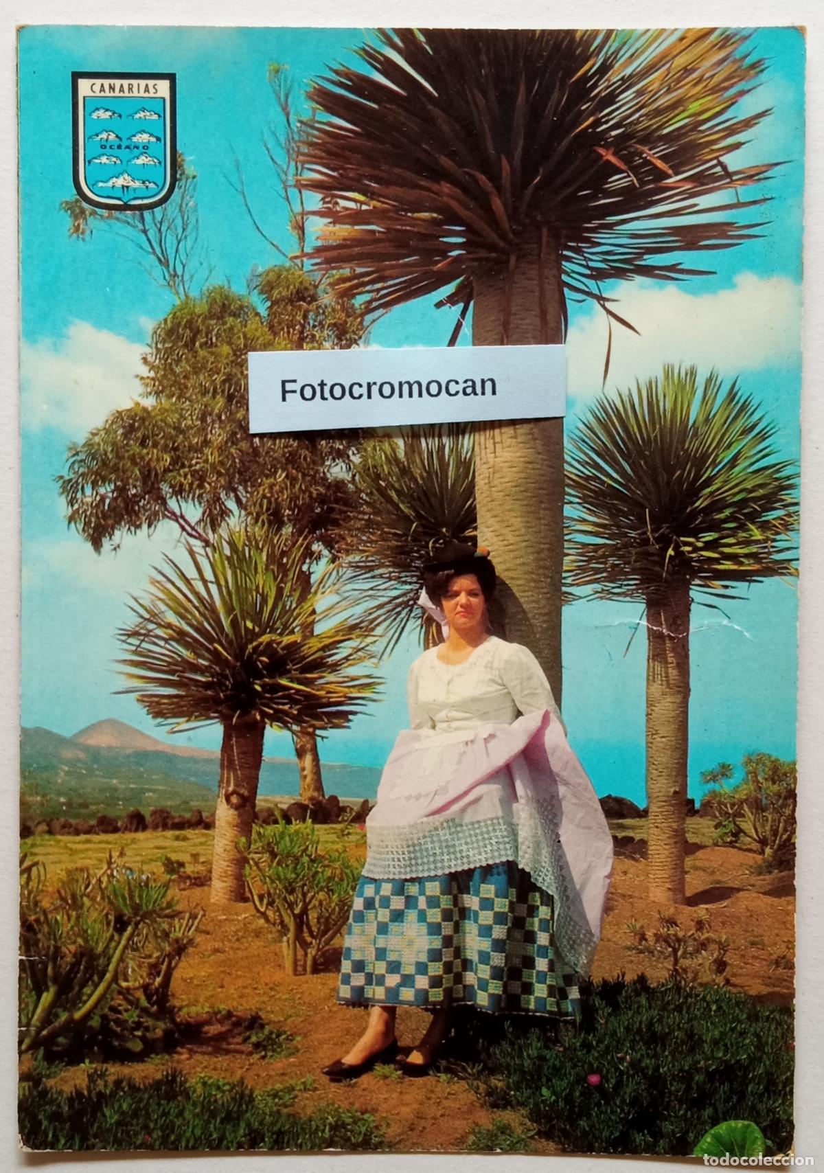 Postales: CANARIA T&Iacute;PICA. ED. &Oacute;SCAR COLOR. N&ordm;49