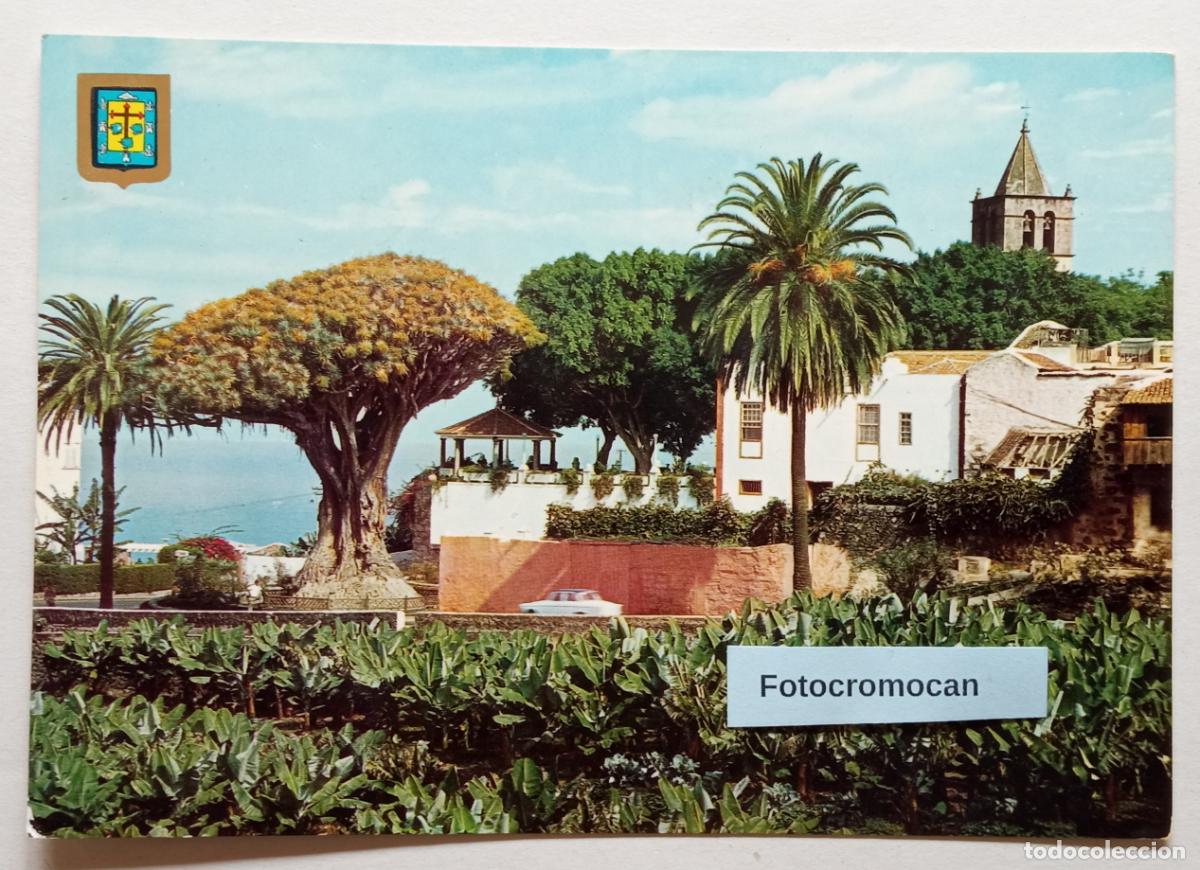 Postales: ICOD DE LOS VINOS. TENERIFE. EL DRAGO MILENARIO. ED. FISA. ESCUDO DE ORO. N&ordm;160