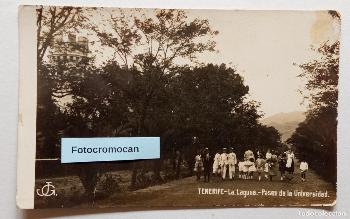 Postales: LA LAGUNA. TENERIFE. PASEO DE LA UNIVERSIDAD. FOTO POSTAL DE JOAQU&Iacute;N GONZ&Aacute;LEZ ESPINOSA