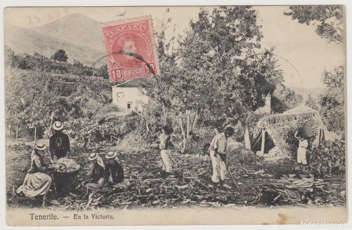 Postales: TARJETA POSTAL - TENERIFE - EN LA VICTORIA - N&ordm; 7 - NOBREGA'S ENGLISH BAZAR