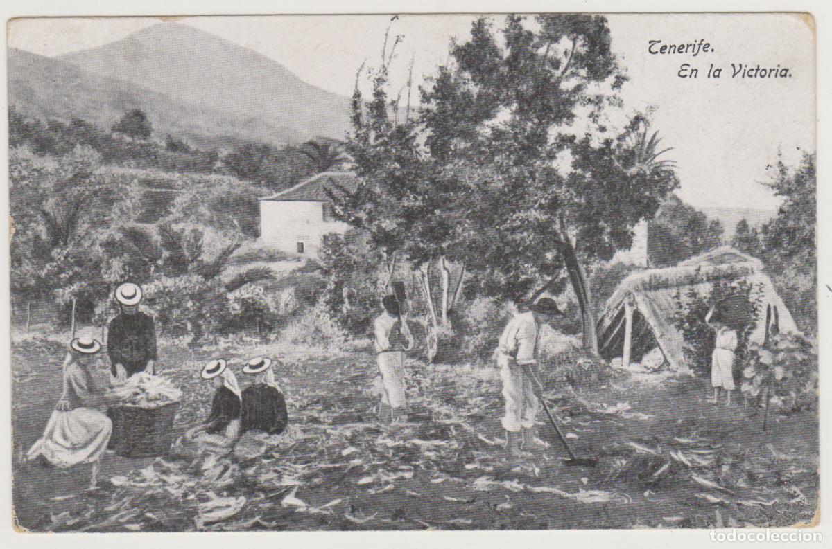 Postales: TARJETA POSTAL - TENERIFE - EN LA VICTORIA - N&ordm; 34