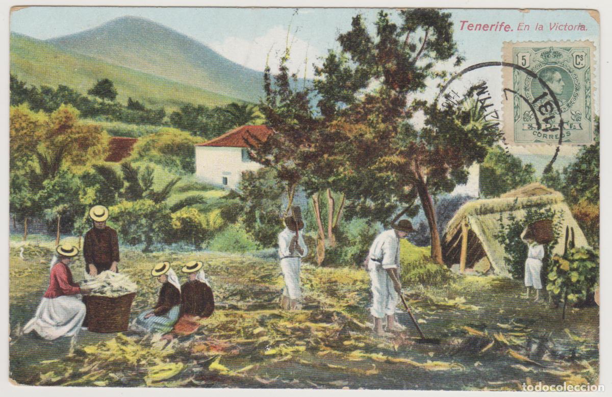 Postales: TARJETA POSTAL - TENERIFE - EN LA VICTORIA - NOBREGA'S ENGLISH BAZAR