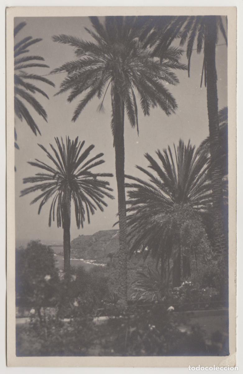 Postales: TARJETA POSTAL - LA PALMA