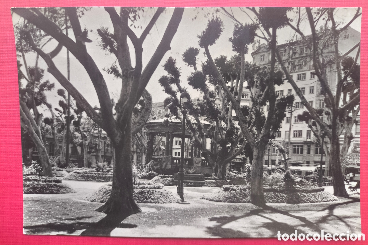 Postales: SANTA CRUZ TENERIFE ALAMEDA POSTAL FOTOGR&Aacute;FICA CANARIAS C. 1960