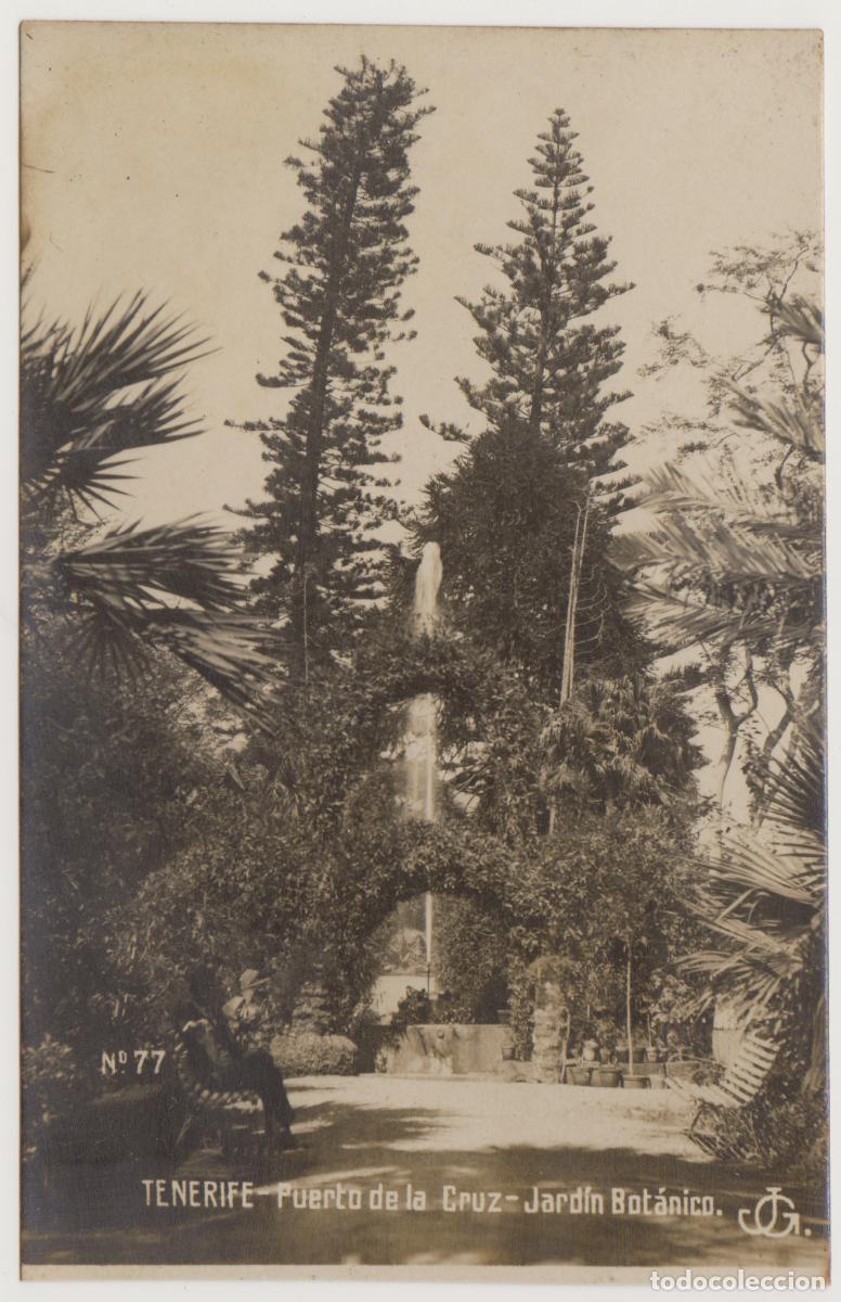 Postales: TARJETA POSTAL - TENERIFE - PUERTO DE LA CRUZ - JARDIN BOTANICO - JG