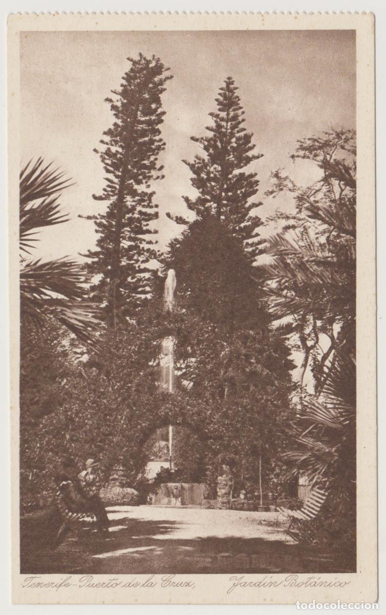 Postales: TARJETA POSTAL - TENERIFE - PUERTO DE LA CRUZ - JARDIN BOTANICO