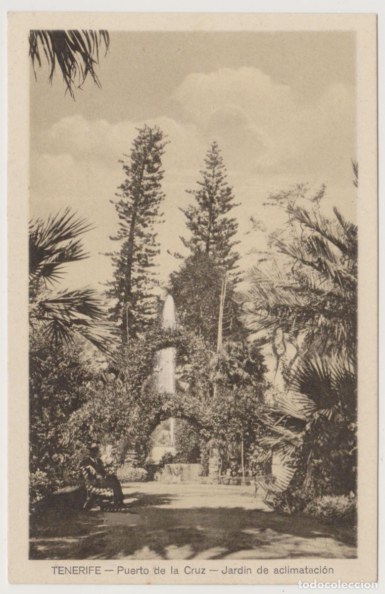 Postales: TARJETA POSTAL - TENERIFE - PUERTO DE LA CRUZ - JARDIN DE ACLIMATACION