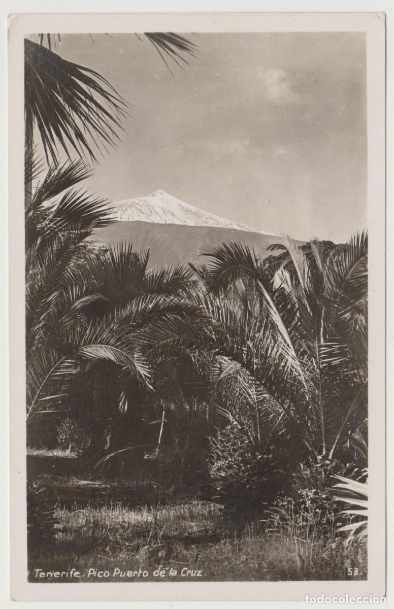 Postales: TARJETA POSTAL - TENERIFE - PICO PUERTO DE LA CRUZ - N&ordm; 53 - FOTO CENTRAL