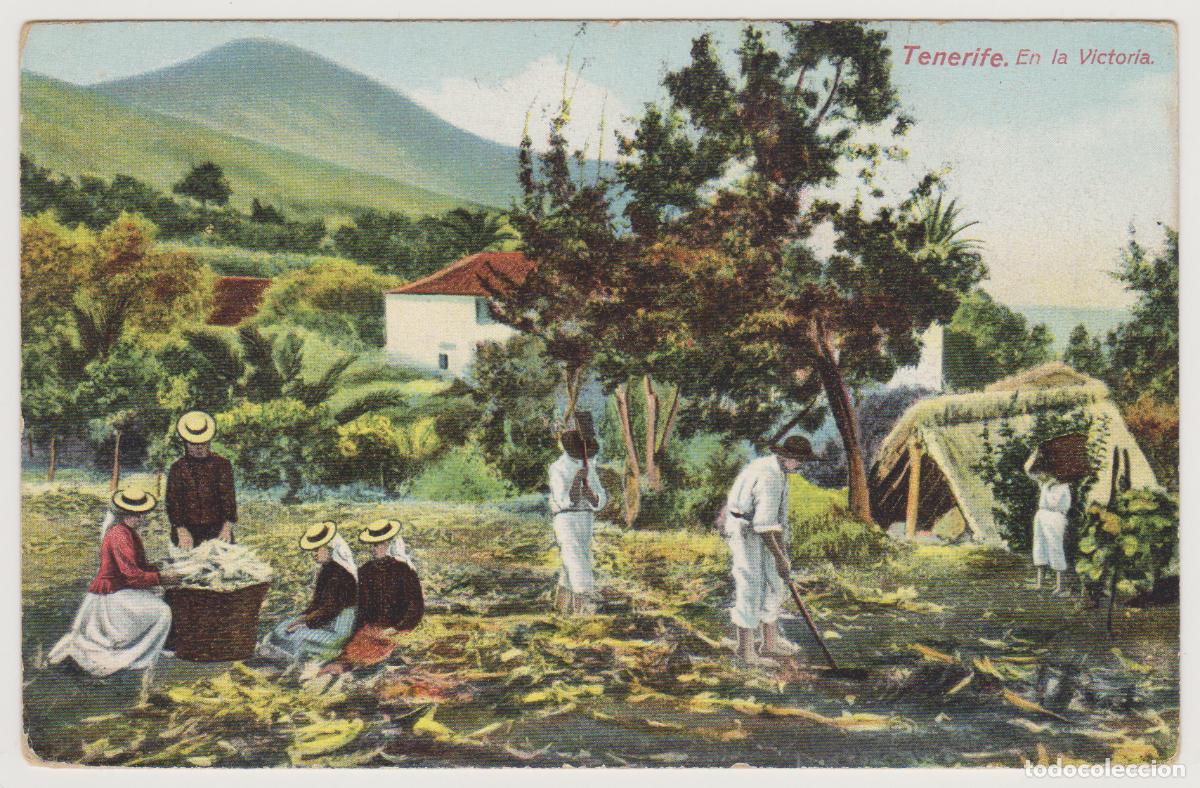 Postales: TARJETA POSTAL - TENERIFE - EN LA VICTORIA - NOBREGA'S ENGLISH BAZAR