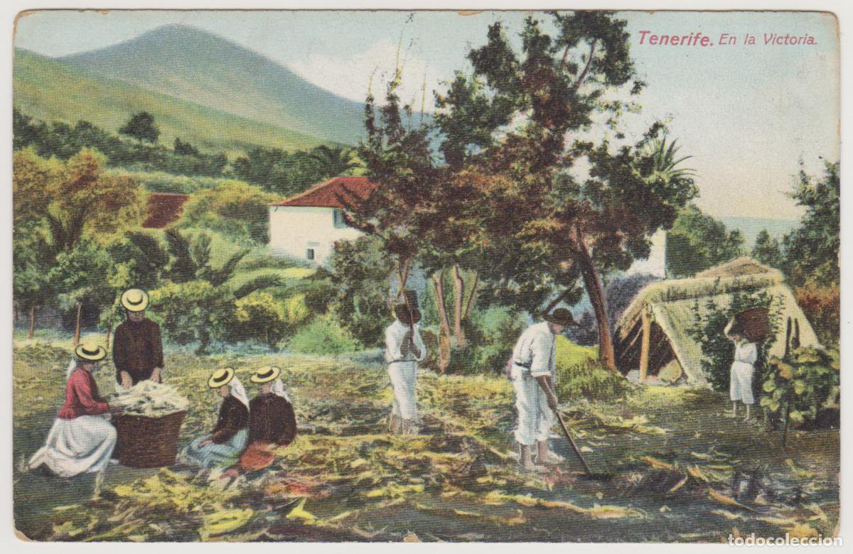 Postales: TARJETA POSTAL - TENERIFE - EN LA VICTORIA - NOBREGA'S ENGLISH BAZAR