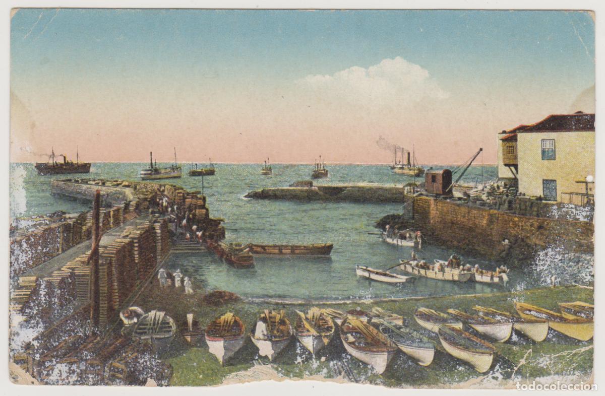 Postales: TARJETA POSTAL - TENERIFE - MUELLE Y BAHIA PUERTO DE LA CRUZ - VICENTE CARTAYA
