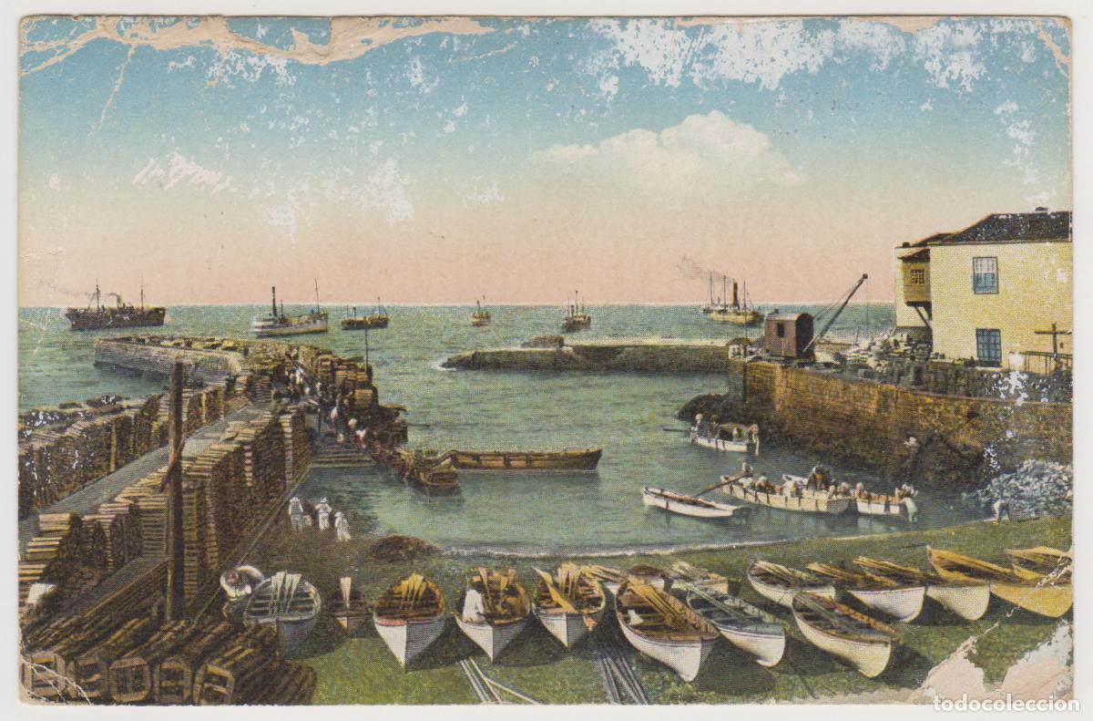 Postales: TARJETA POSTAL - TENERIFE - MUELLE Y BAHIA PUERTO DE LA CRUZ - VICENTE CARTAYA