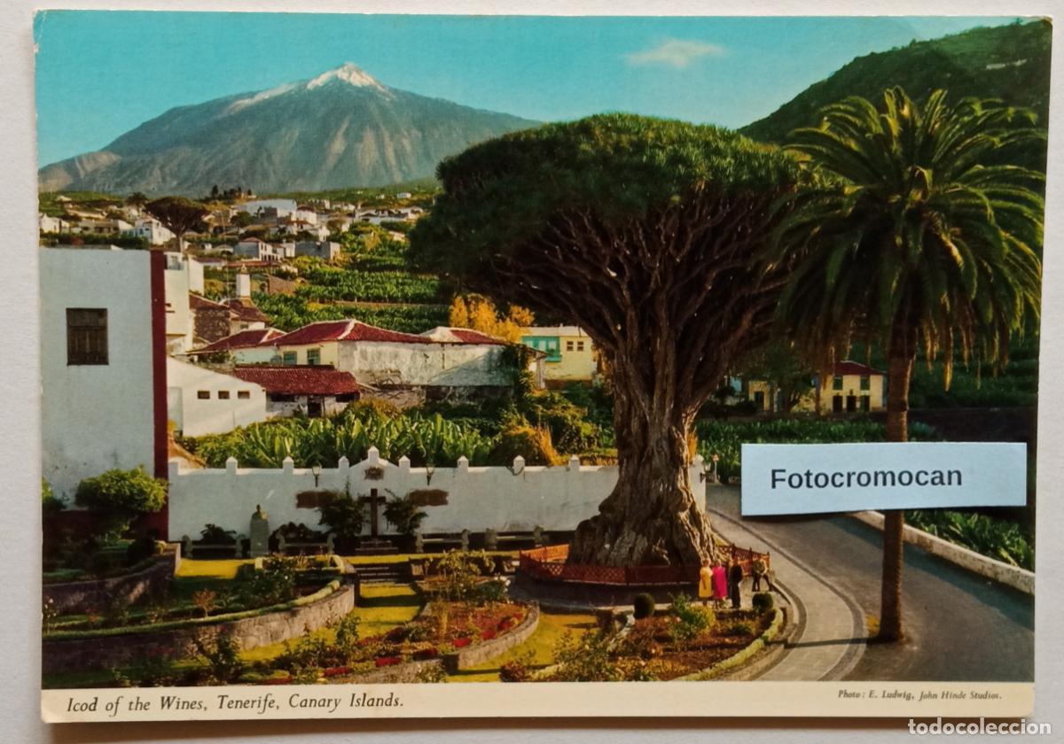 Postales: ICOD OF THE WINES. TENERIFE. CANARY ISLANDS. ED. JOHN HINDE. N&ordm; 2CT23. FOTO. E. LUDWIG