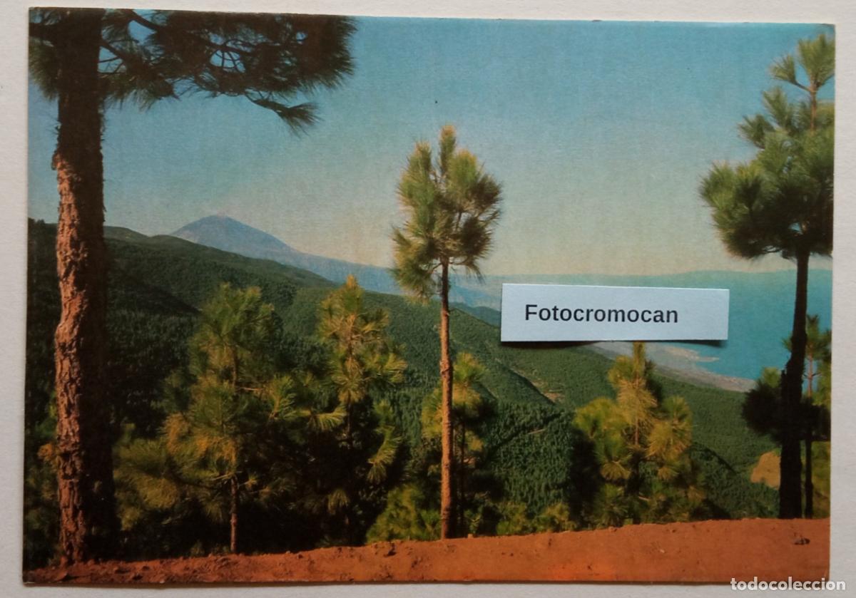 Postales: TENERIFE. EL TEIDE DESDE LA ESPERANZA. LITOGRAF&Iacute;A. A. ROMERO. N&ordm; 116. FOTO &Aacute;LVAREZ