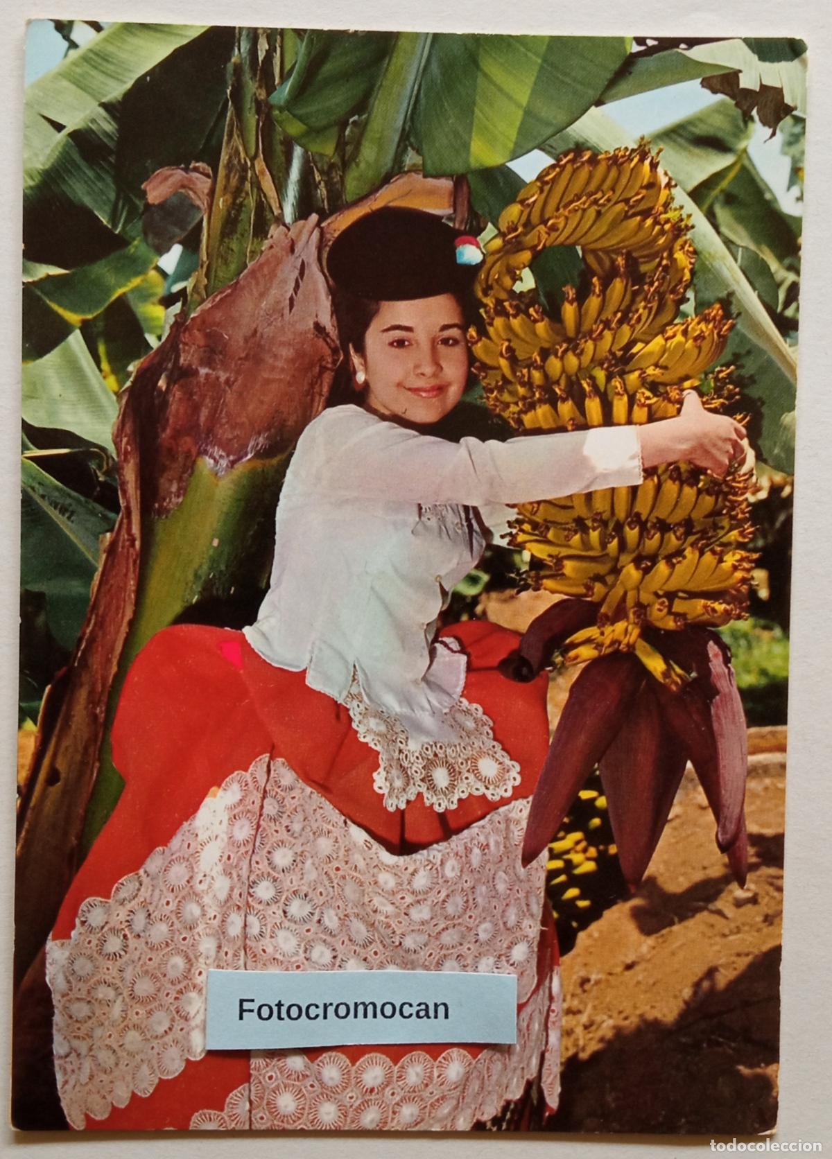 Postales: GRAN CANARIA. PLATANERA EN FLOR Y CHICA T&Iacute;PICA. DISTRIBUIDORES. GLOBAL TRADERS. N&ordm; 1153