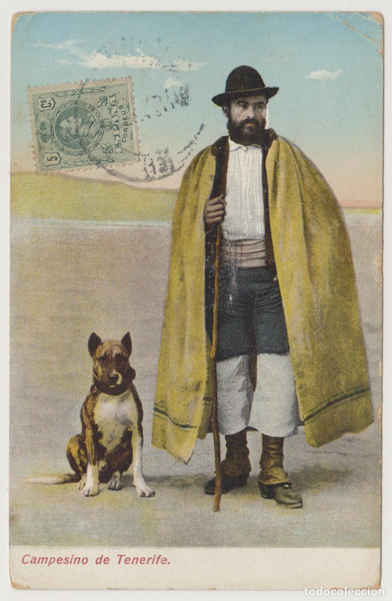 Postales: TARJETA POSTAL - CAMPESINO DE TENERIFE