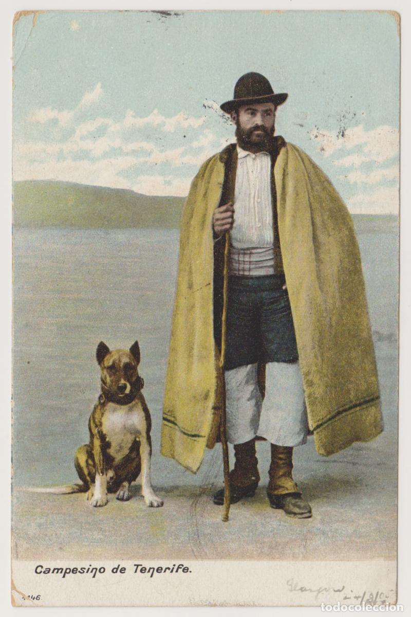 Postales: TARJETA POSTAL - CAMPESINO DE TENERIFE