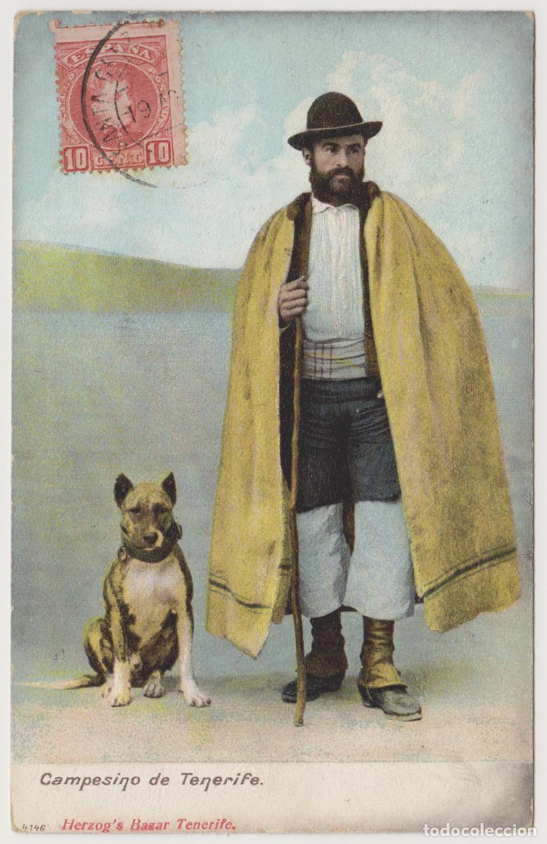 Postales: TARJETA POSTAL - CAMPESINO DE TENERIFE - HERZOG'S BAZAR