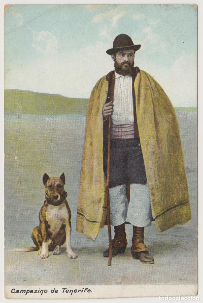 Postales: TARJETA POSTAL - CAMPESINO DE TENERIFE