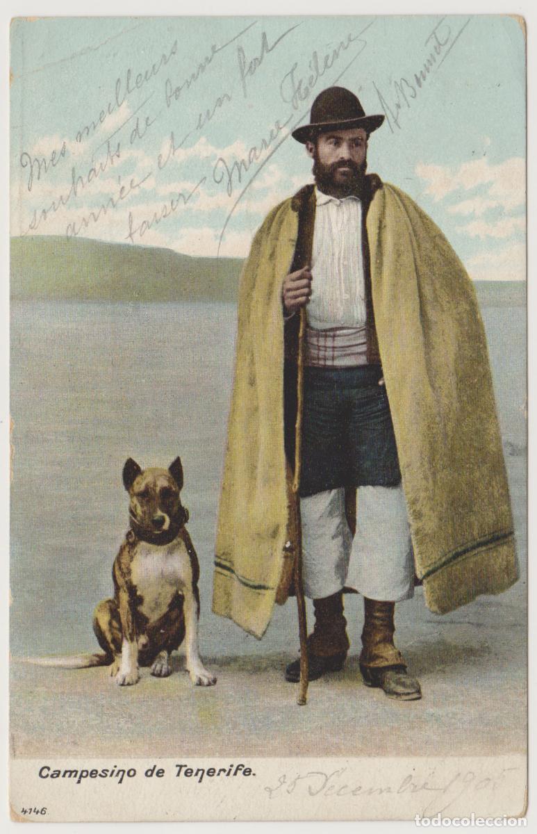 Postales: TARJETA POSTAL - CAMPESINO DE TENERIFE