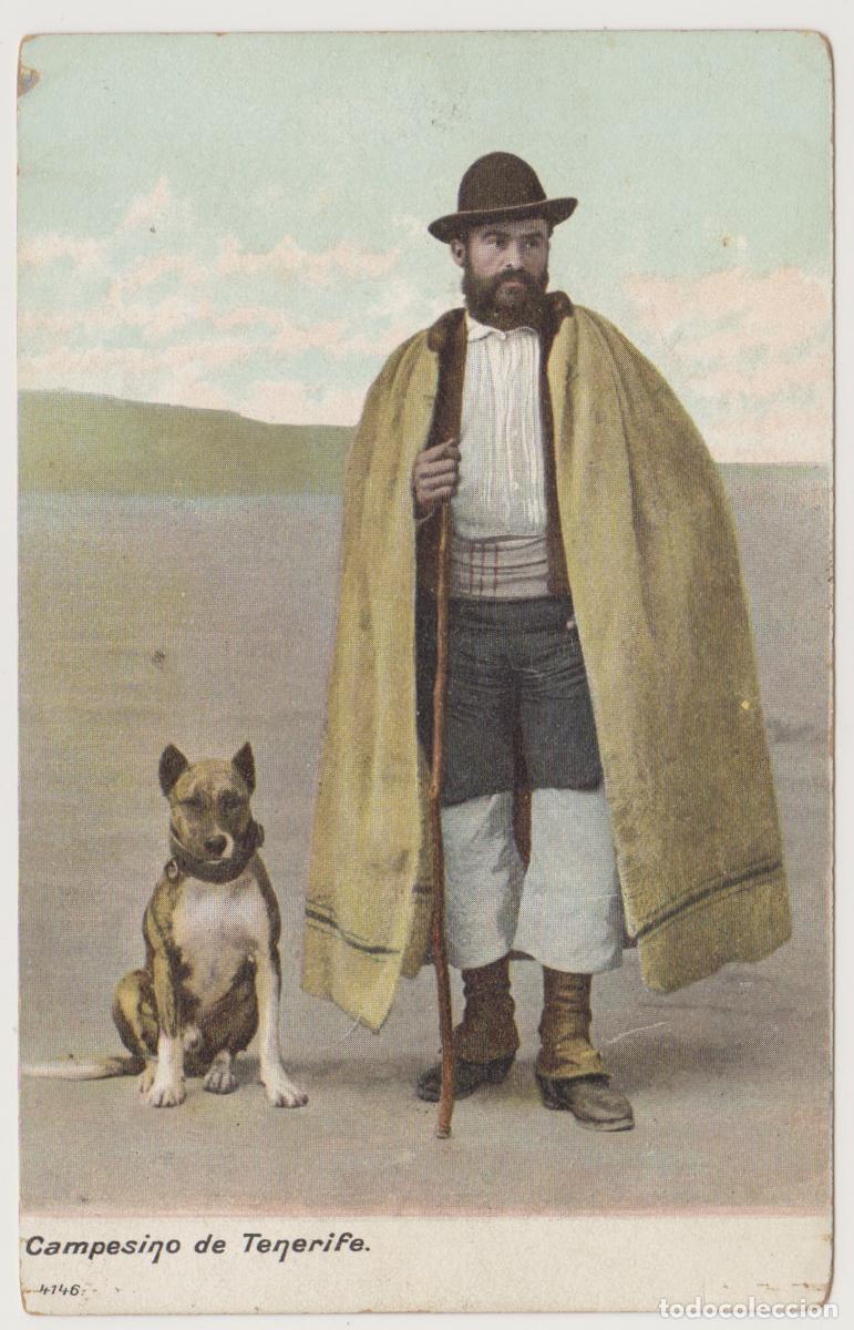 Postales: TARJETA POSTAL - CAMPESINO DE TENERIFE