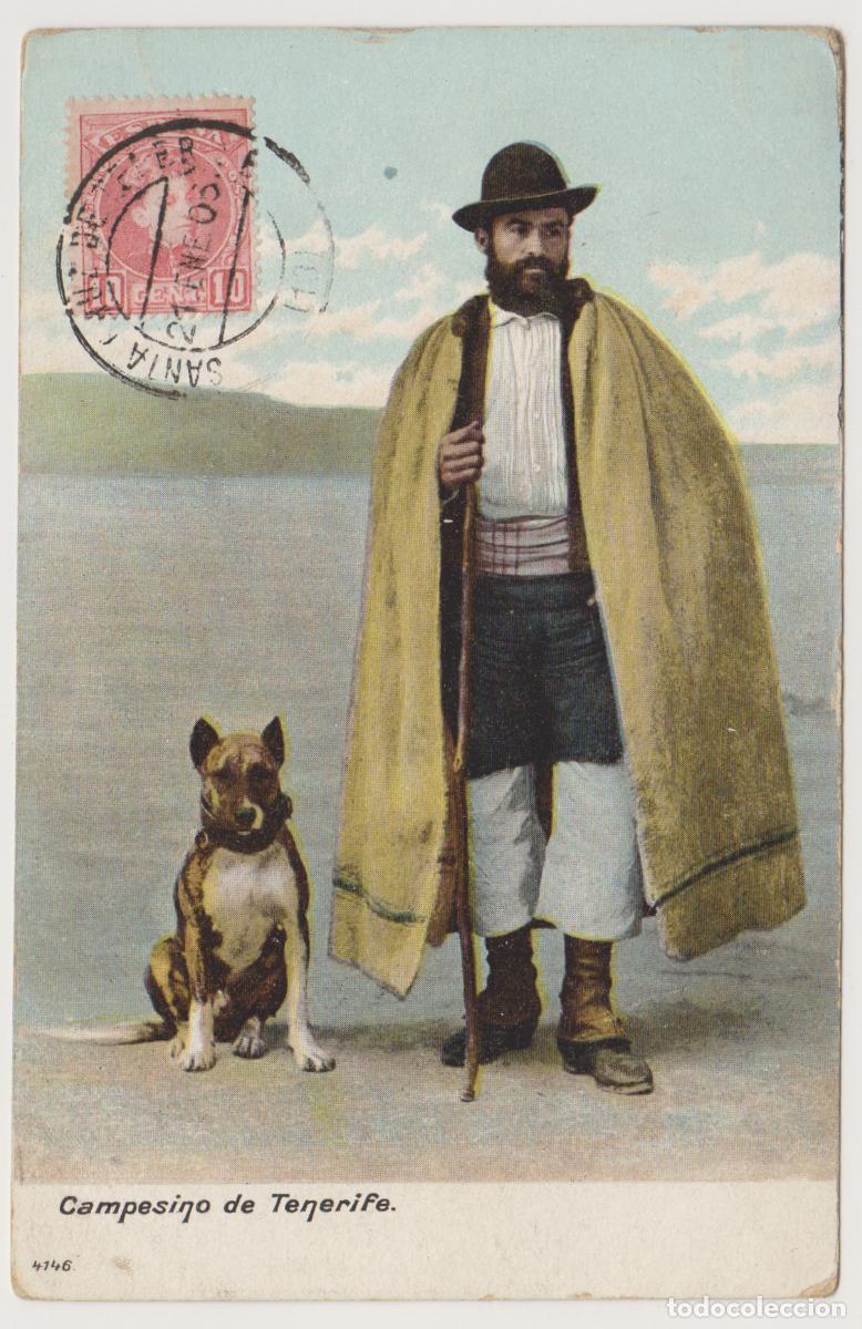 Postales: TARJETA POSTAL - CAMPESINO DE TENERIFE