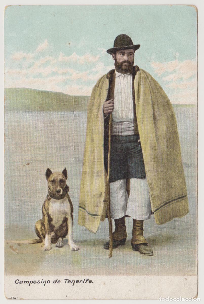 Postales: TARJETA POSTAL - CAMPESINO DE TENERIFE