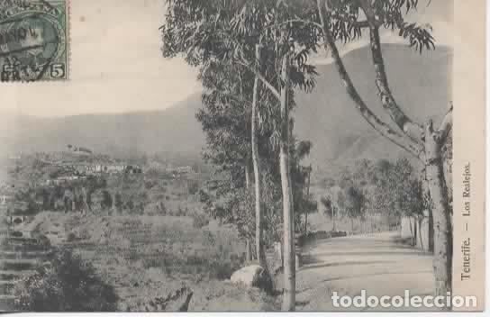 Postales: CANARIAS LOS REALEJOS TENERIFE SIN ESCRIBIR