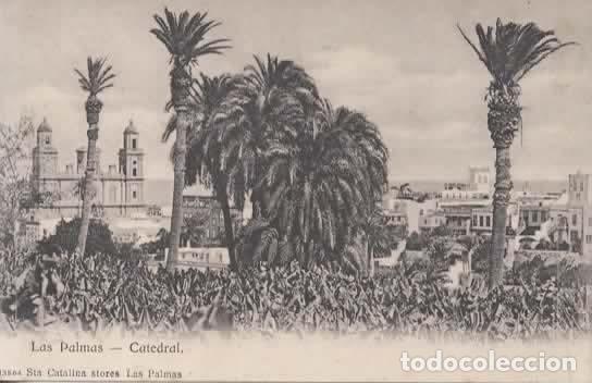 Postales: CANARIAS CATEDRAL LAS PALMAS DORSO SIN DIVIDIR