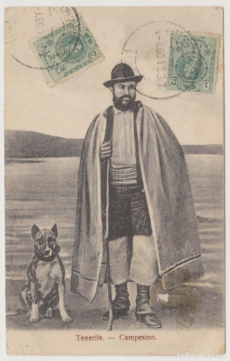 Postales: TARJETA POSTAL - TENERIFE - CAMPESINO - NOBREGA'S ENGLISH BAZAR
