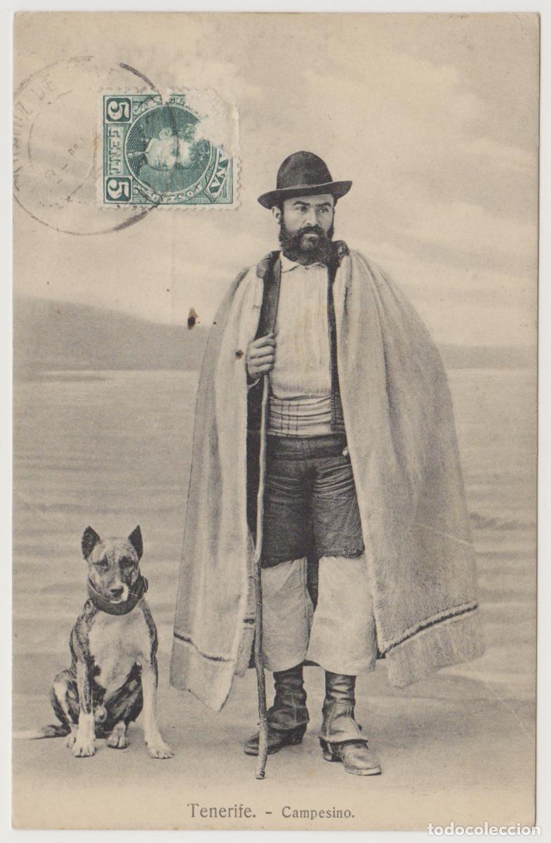 Postales: TARJETA POSTAL - TENERIFE - CAMPESINO - NOBREGA'S ENGLISH BAZAR
