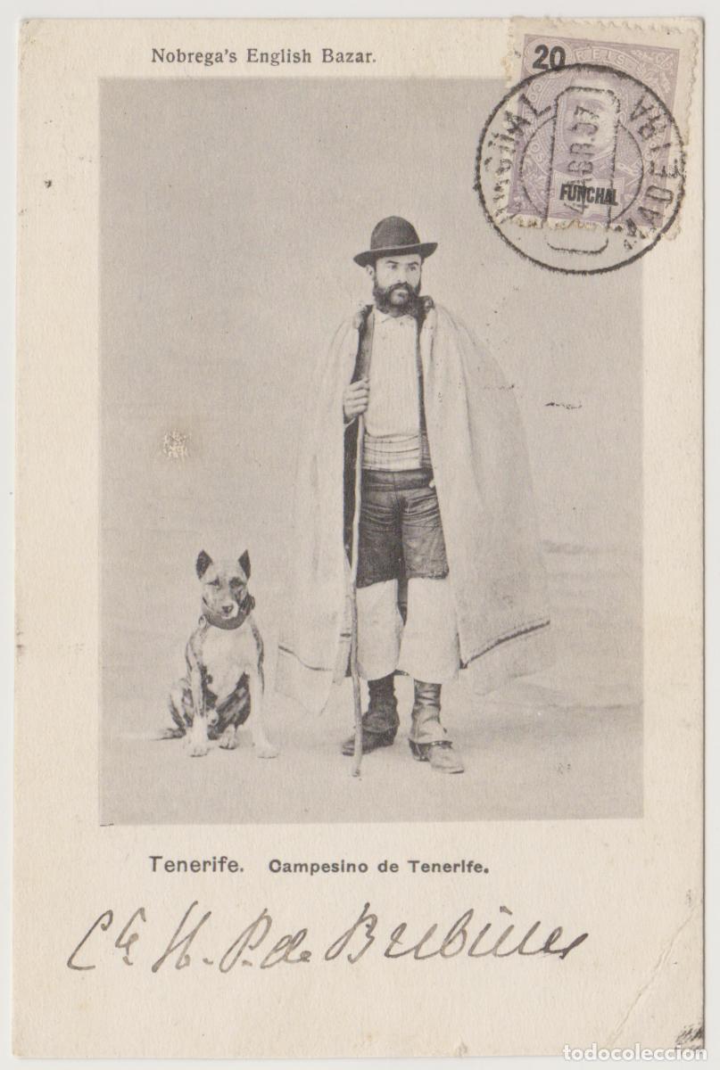 Postales: TARJETA POSTAL - TENERIFE - CAMPESINO DE TENERIFE - NOBREGA'S ENGLISH BAZAR