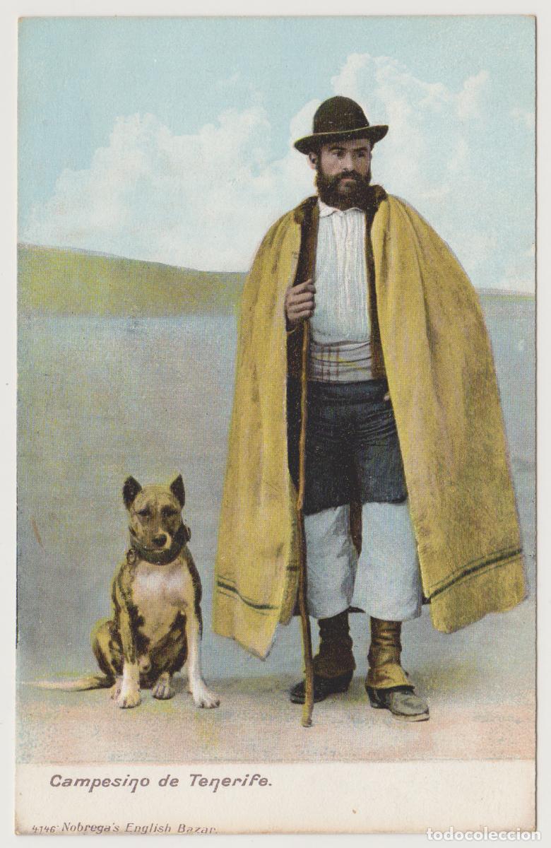 Postales: TARJETA POSTAL - CAMPESINO DE TENERIFE - NOBREGA'S ENGLISH BAZAR