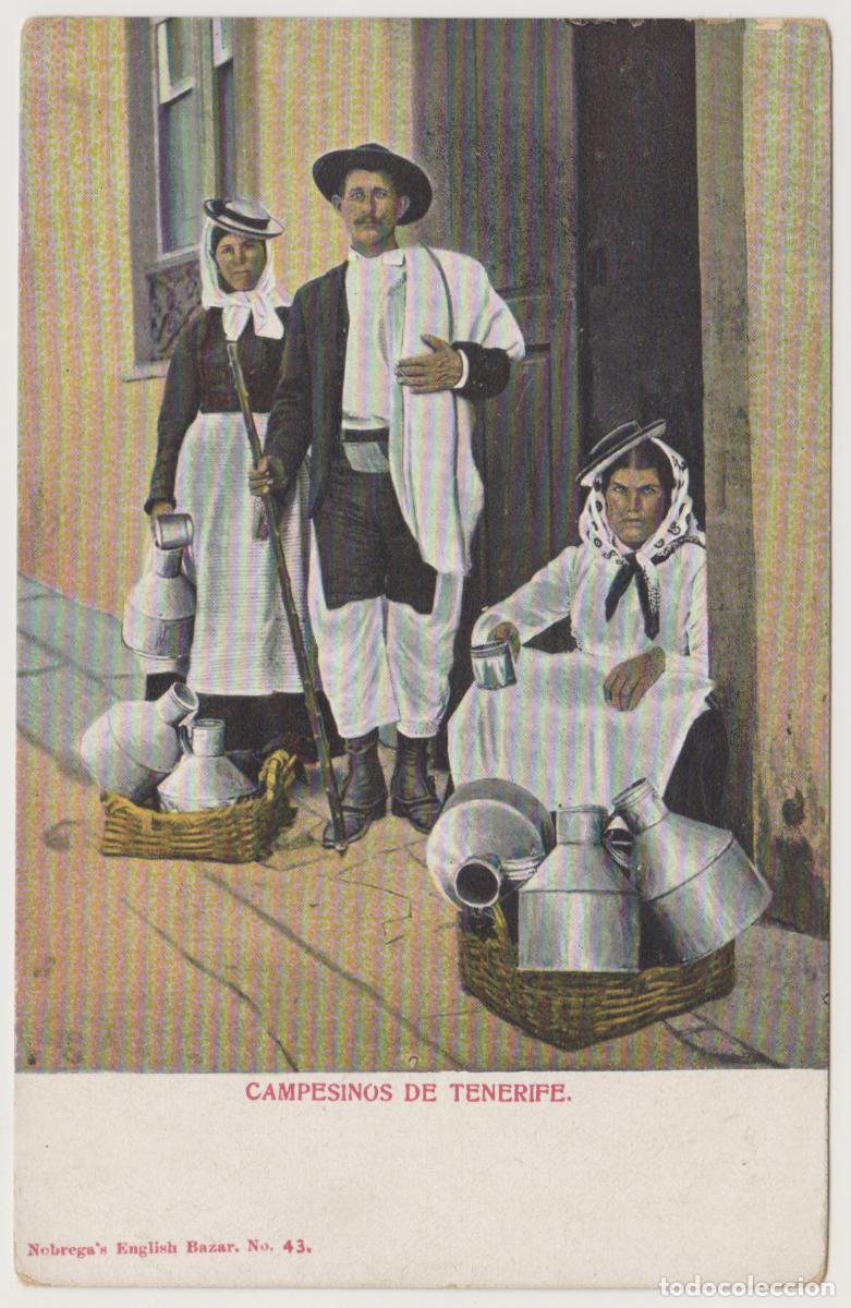 Postales: TARJETA POSTAL - CAMPESINOS DE TENERIFE - N&ordm; 43 - NOBREGA'S ENGLISH BAZAR