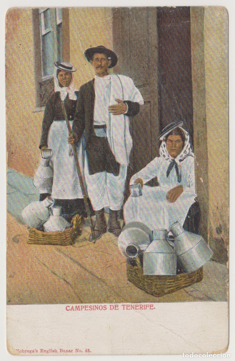 Postales: TARJETA POSTAL - CAMPESINOS DE TENERIFE - N&ordm; 43 - NOBREGA'S ENGLISH BAZAR