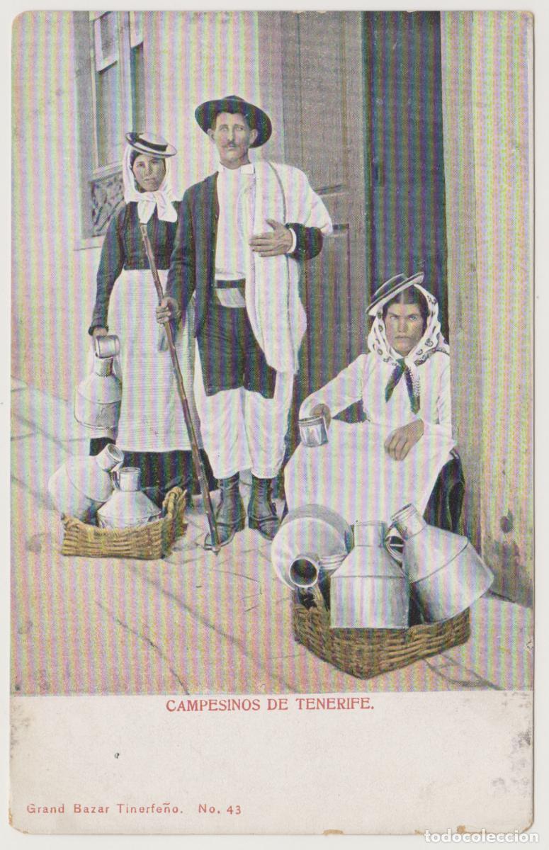 Postales: TARJETA POSTAL - CAMPESINOS DE TENERIFE - N&ordm; 43 - GRAND BAZAR TINERFE&Ntilde;O