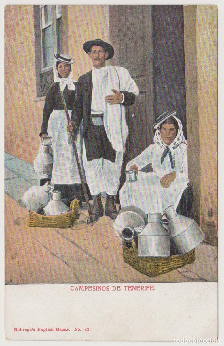 Postales: TARJETA POSTAL - CAMPESINOS DE TENERIFE - N&ordm; 43 - NOBREGA'S ENGLISH BAZAR