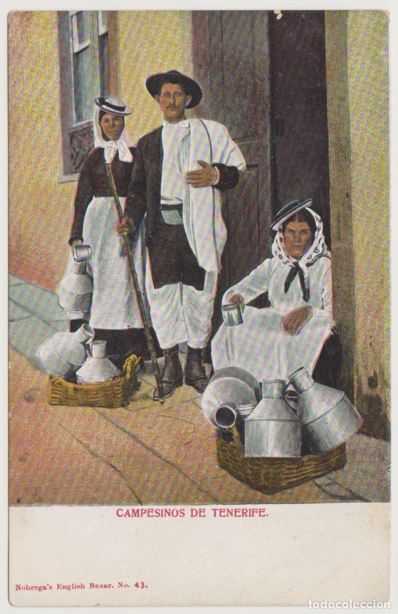 Postales: TARJETA POSTAL - CAMPESINOS DE TENERIFE - N&ordm; 43 - NOBREGA'S ENGLISH BAZAR