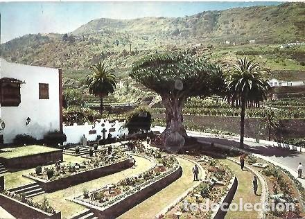 Postales: POSTAL A COLOR 2178 ICOD TENERIFE EL DRAGO EDICIONES ARRIBAS