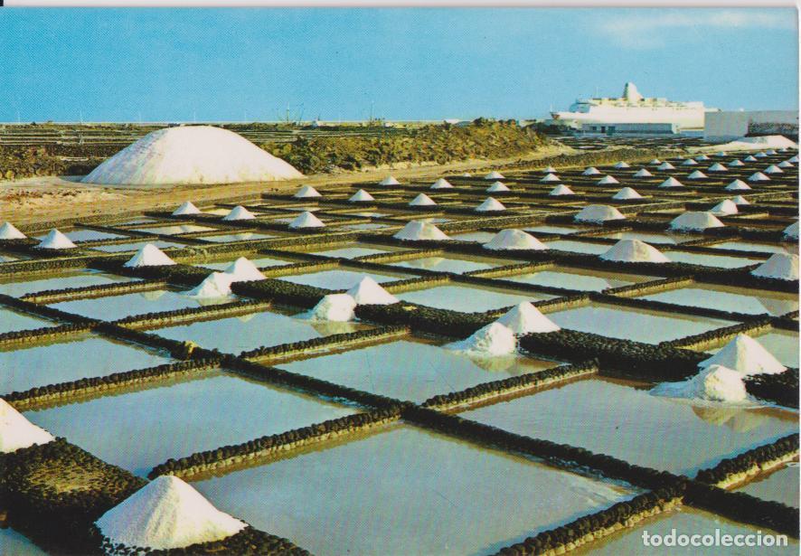 Postales: LANZAROTE, SALINAS Y MUELLE DE LOS MARMOLES &ndash; MONTERO &ndash; S/C