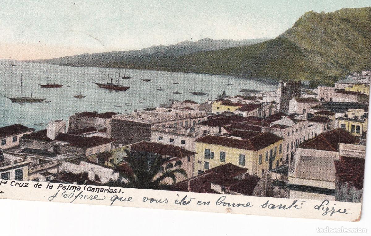 Postales: CANARIAS SANTA CRUZ DE LA PALMA - CU&Ntilde;O DEL HOTEL QUISISANA