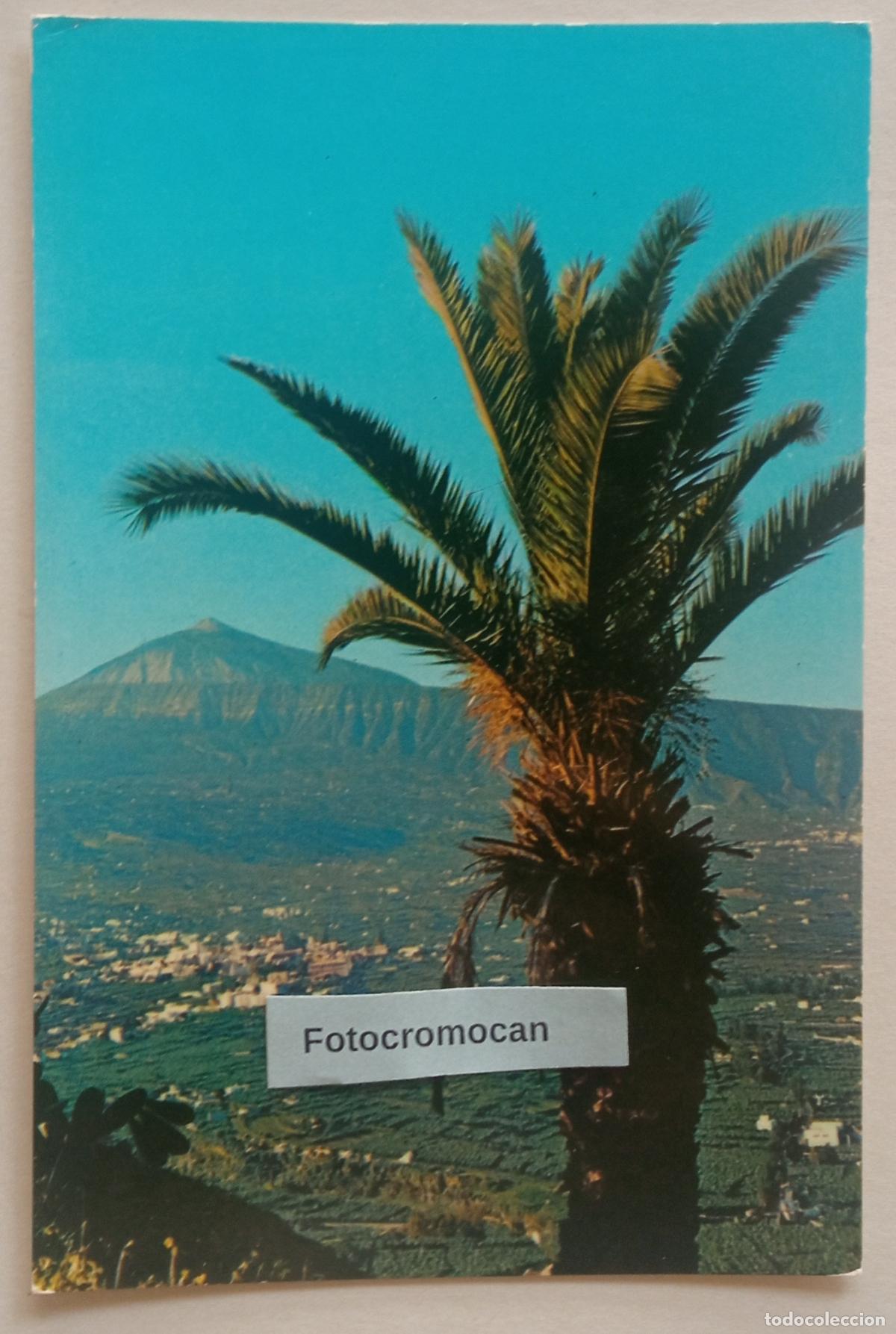 Postales: VALLE DE LA OROTAVA. TENERIFE. VISTA PARCIAL. SUCESOR DE V&Iacute;CTOR GONZ&Aacute;LEZ. N&ordm; 25