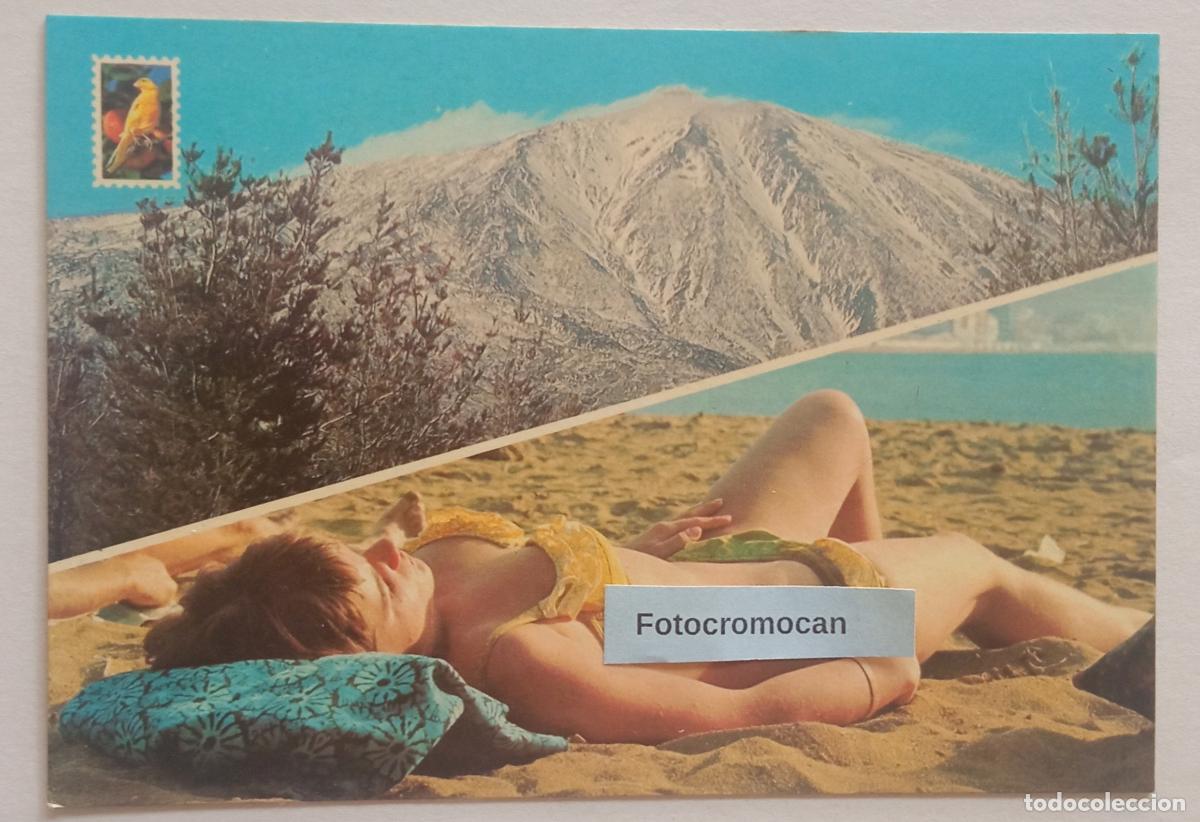 Postales: ISLAS CANARIAS. INVIERNO. LITOGRAF&Iacute;A SAAVEDRA. N&ordm; 621