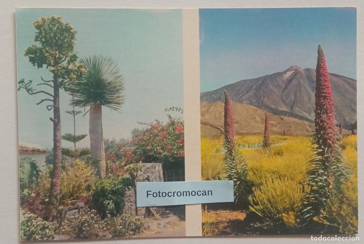 Postales: MOTIVOS DE TENERIFE. LITOGRAF&Iacute;A A. ROMERO. N&ordm; 120